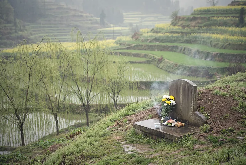 Qingming in the Sichuan countryside: green spring hills and willows in light rain, a simple stone tomb with flowers and a small wine cup