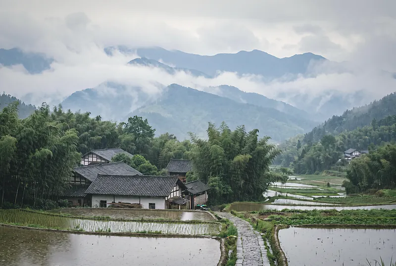 Fine rain over the green Sichuan plain, with farmhouses and rice fields and the mist-wrapped Longmen Mountains behind