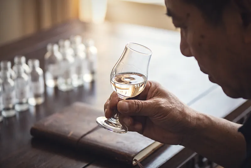 The work of nose and palate