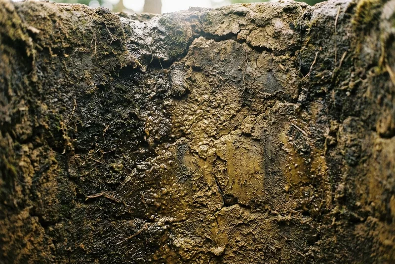 Macro photograph showing the texture of the Mianzhu yellow clay pit wall, moist and rich with organic patina.